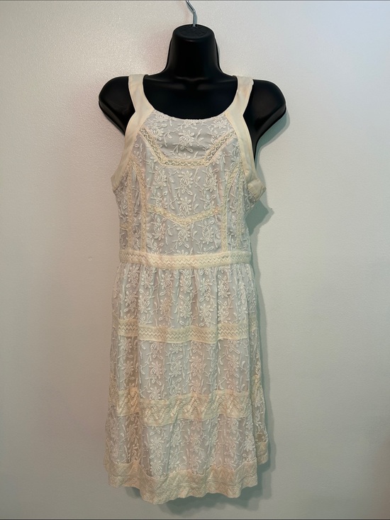 American Eagle Outfitters Dresses & Skirts - American Eagle Outfitters Lace Overlay Mini Dress in Cream, Zip, Straps Size 6